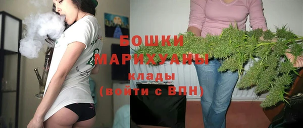 хмурый Магас