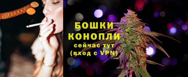 молекула духа Майский