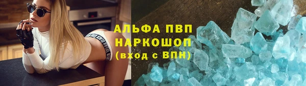 хмурый Магас