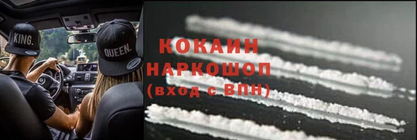 хмурый Магас