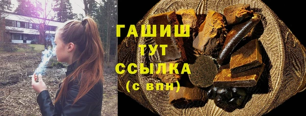 хмурый Магас
