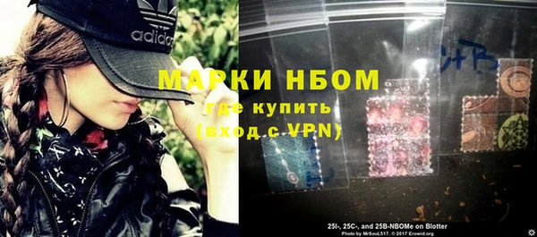 хмурый Магас