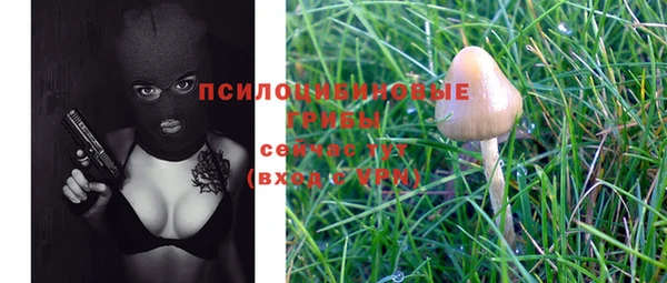 спайс Магадан