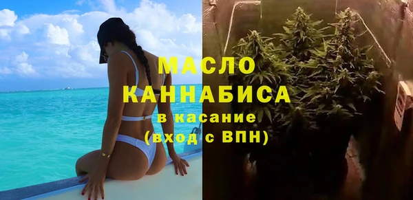 молекула духа Майский