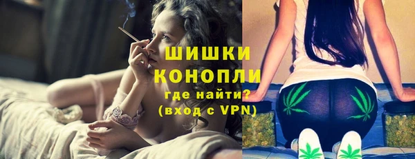 хмурый Магас